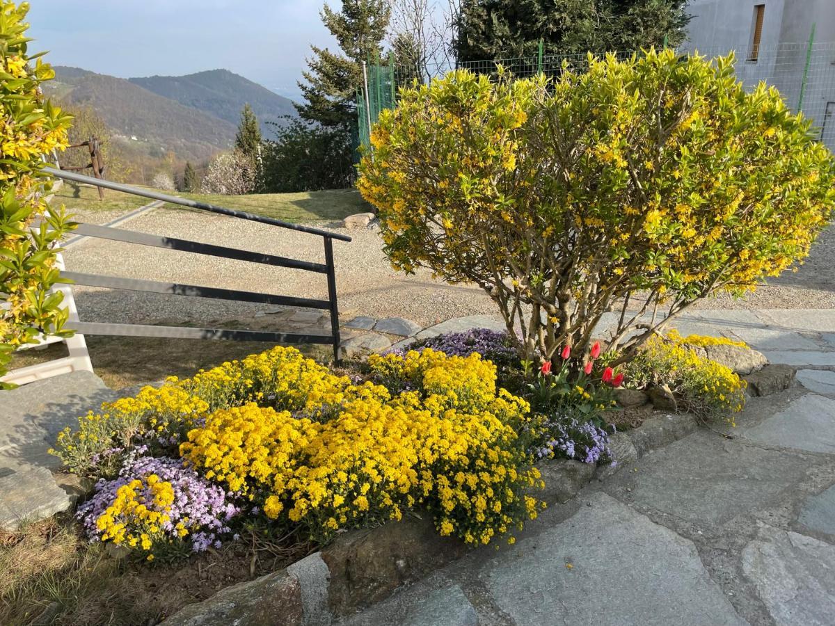 Camere Villa Lunardini Frassinetto  外观 照片